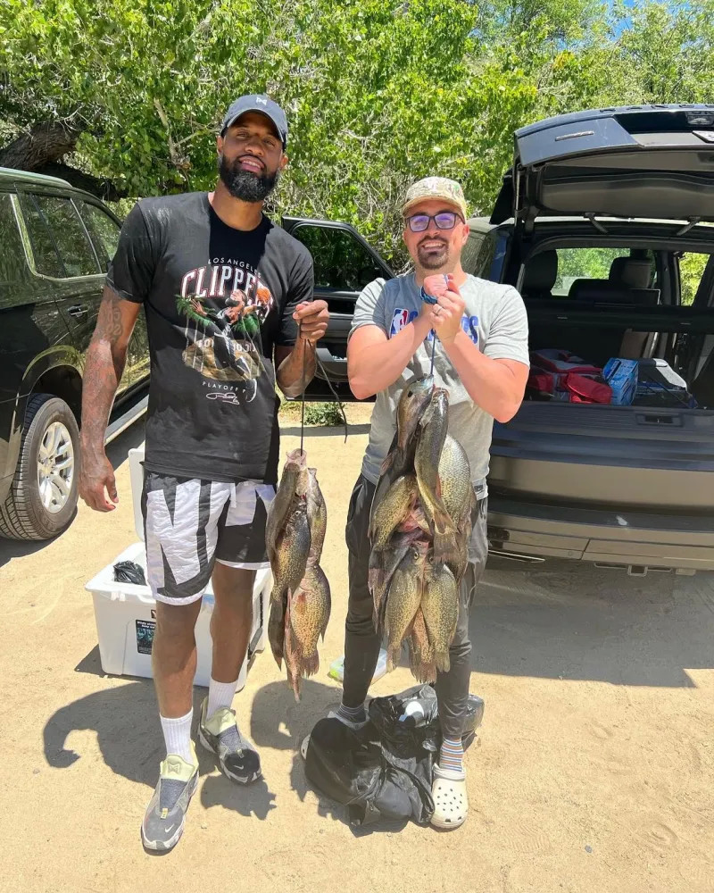 高管理层几 高管理层几